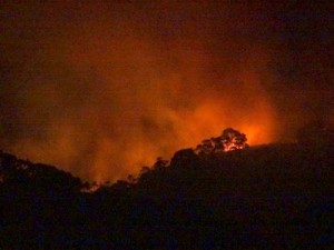 Incendio Parque Caparao 2015 Marc (13)