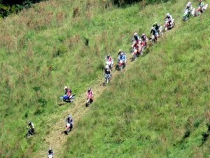 Trilhao Alto Caparao 2015 (10)