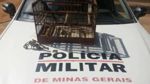 Passaros Arma Alto Caparao